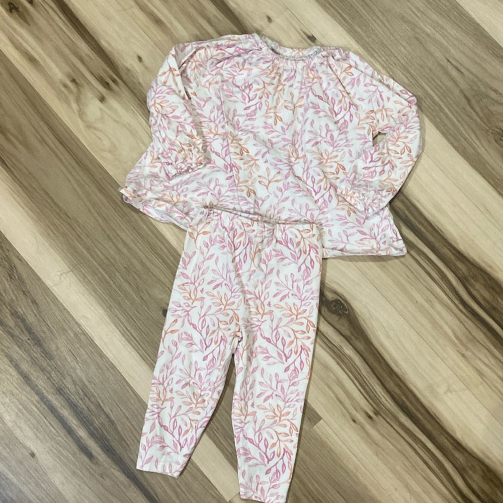Burt’s Bee’s Baby girl outfit 12 months